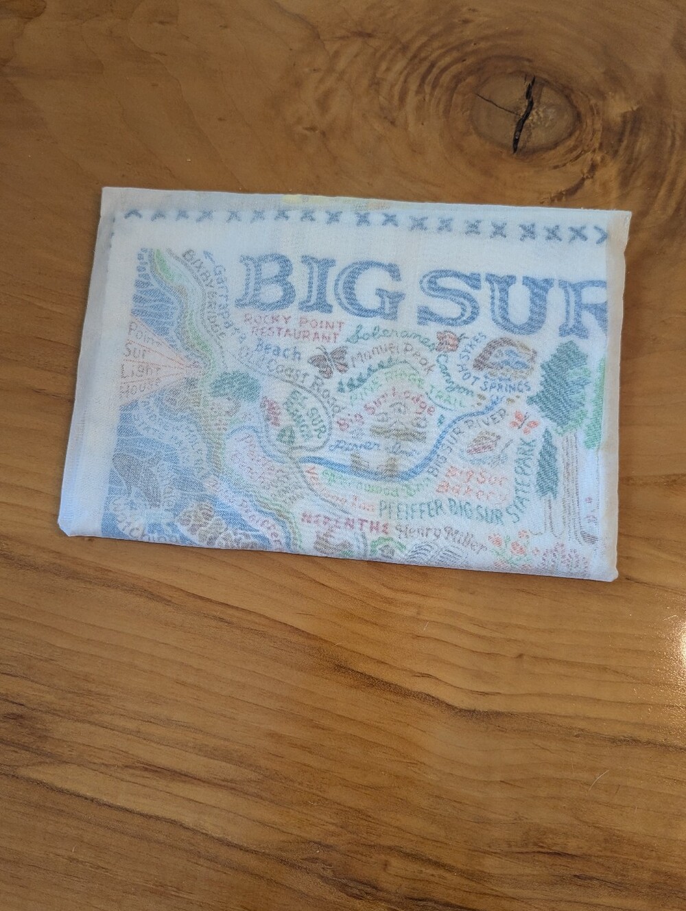 Catstudio Big Sur Tea Towel, NWT